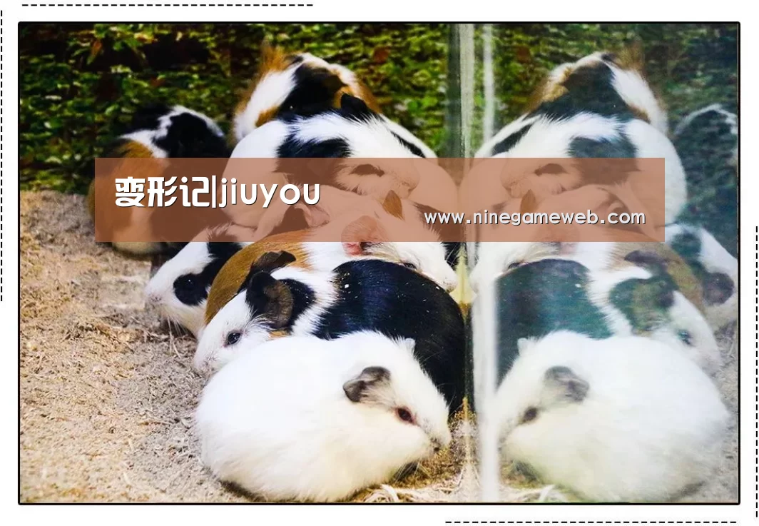 变形记|jiuyou(图2) 变形记|jiuyou(图2)